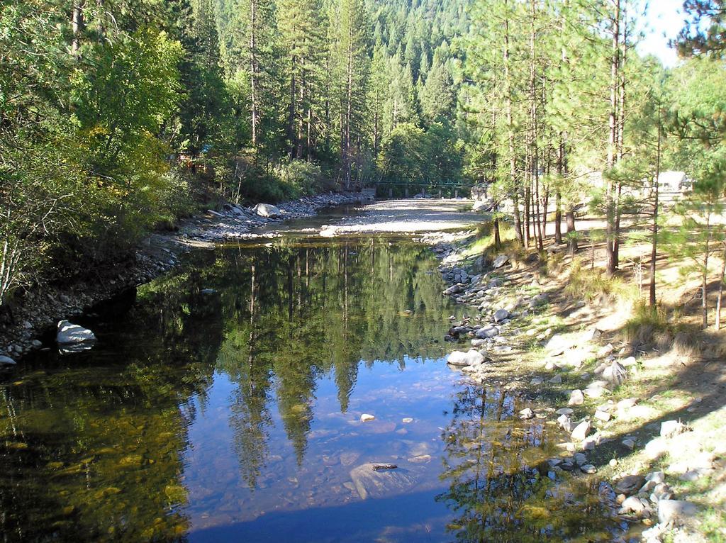 Yosemite Lakes Cabin 40 Harden Flat Bagian luar foto